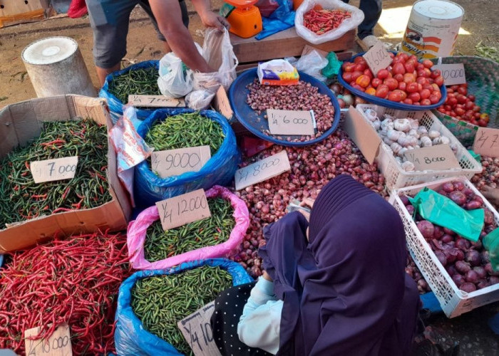 Awas Harga Pangan Meledak! BPS Riau Beri Peringatan Keras Jelang Lebaran, Cek Daftar Komoditasnya!