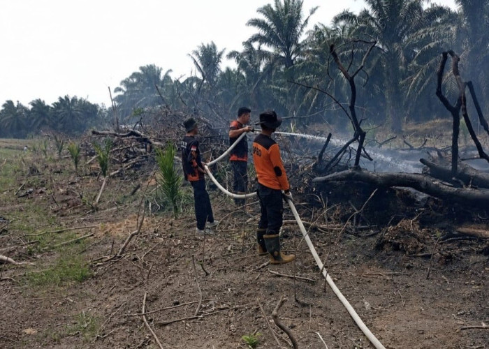 Karhutla Kampar Berhasil Dipadamkan, Api Nyaris Meluas ke Area Perkebunan Warga