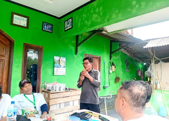 Dulu Rawan Rob, Kini Jadi Destinasi Hits: Ekowisata Mangrove Bunton Bikin Desa Makin Cuan!
