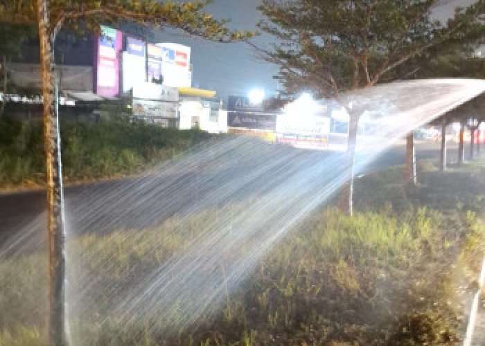 Atasi Musim Kemarau, DLHK Pekanbaru Guyur Ratusan Ribu Liter Air demi Taman Kota