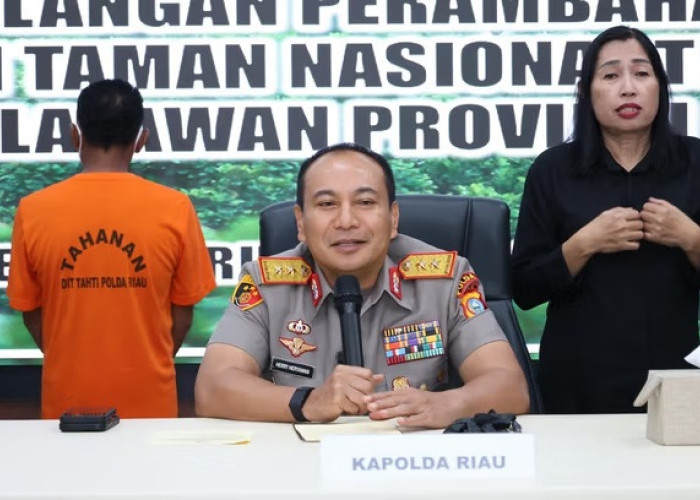 Skandal Perambahan Hutan Tesso Nilo: 200 Surat Hibah Palsu, Lahan Dijual hingga Rp10 Juta