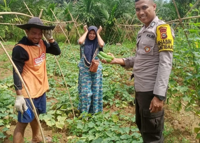 Gawat! Pasokan Pangan Terancam? Polsek Rengat Barat Gerak Cepat Amankan Kebun dan Kolam Warga