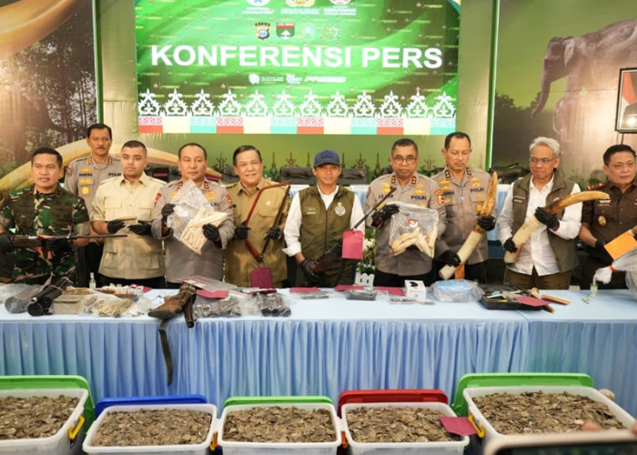 Gajah Sumatera Dibantai Demi Gading! Sindikat Perburuan Kelas Kakap Akhirnya Diciduk, Otak Pelaku Tertangkap