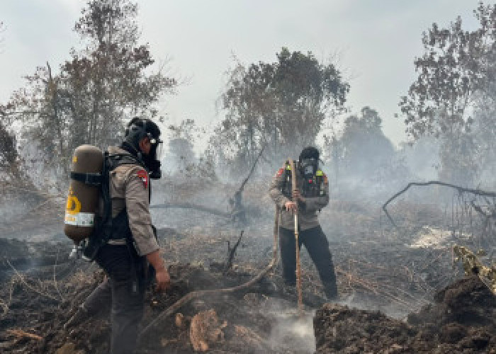 Karhutla Gambut Rimbo Panjang Riau: Brimob Pakai Alat Bantu Pernapasan Padamkan Api