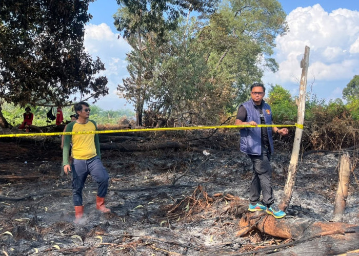 Karhutla Gegara Pembukaan Kebun Sawit, Polisi Tangkap Pria Inisial S