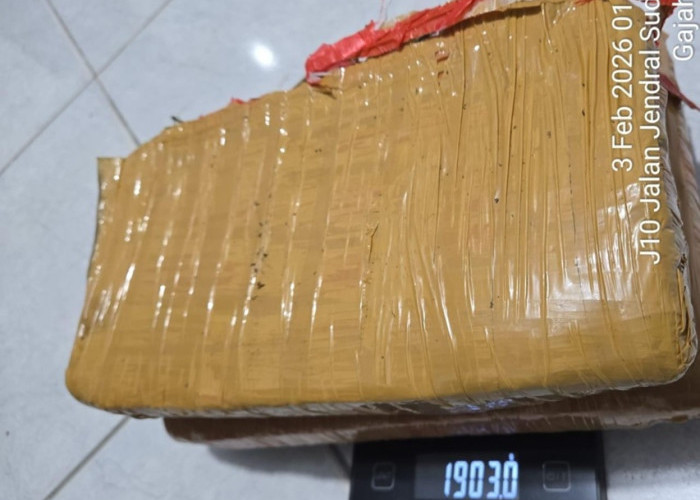 Pesta Ganja Gagal Total! Polsek Mandau Sikat Pengedar di Batang Serosa, 1,9 Kilogram 'Daun Surga' Disita!