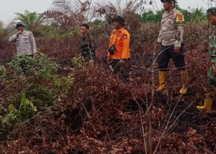 Karhutla Pinggir Bengkalis Padam Usai Hujan Lebat, Tim Gabungan Tetap Siaga