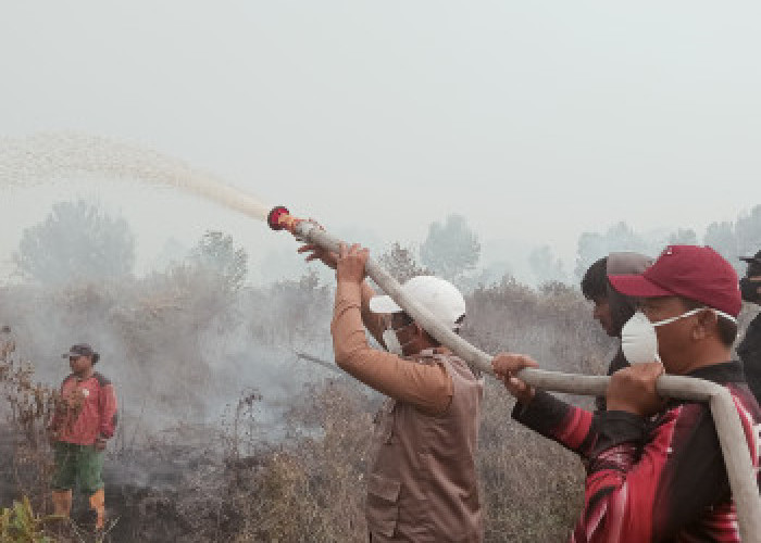 Karhutla Pelalawan Capai 969 Hektare: Tim Gabungan Jinakkan Api Gambut Kerumutan