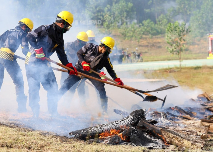 Antisipasi El Nino 2026, Otorita IKN Gelar Simulasi Cegah Kebakaran Hutan