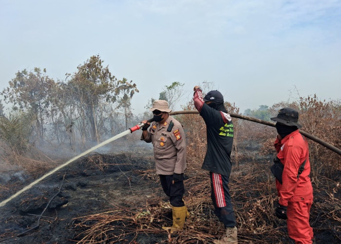 Gawat! 10 Hektare Lahan Rupat Membara, TNI-Polri Tarung Nyawa Lawan Api Gambut