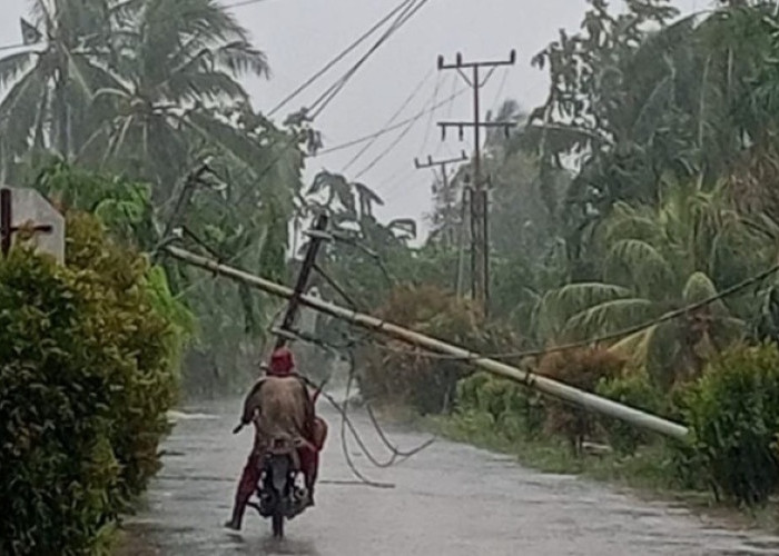 Bencana Angin Puting Beliung Bengkalis Mengamuk, SMPN 1 Bandar Laksamana Hancur Lebur dan Trafo PLN Meledak!