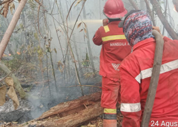Karhutla Inhu Riau Tembus 471 Hektare, Tim Gabungan Berjibaku Tembus Medan Gambut Hari ke-22