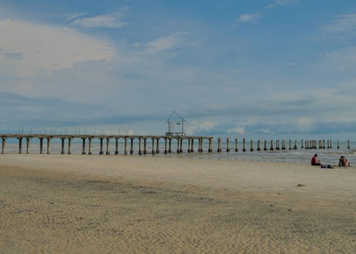 Cuaca Riau Didominasi Cerah, BMKG Sebut 16 Titik Panas Masih Terpantau