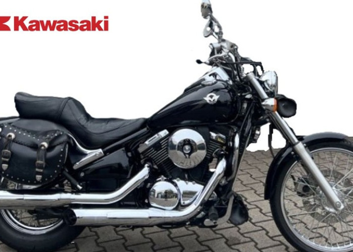 Kawasaki VN 800 Terbaru Resmi Meluncur: Tampang 'Semut' tapi Tenaga Bengis, Siap Guncang Jalanan!