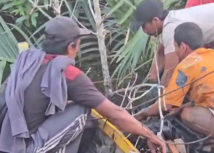 Niat Memancing, Remaja di Dumai Tewas Diterkam Buaya