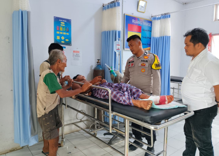 Diserang Tiga Harimau Sumatera, Petani di Inhu Selamat Setelah Bertarung Hidup Mati