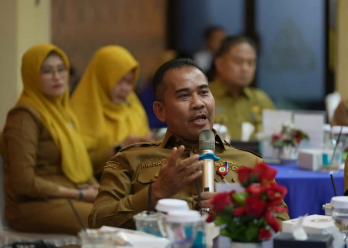 Ribuan Honorer Siak Batal Dipecat! Bupati Afni Temukan Jurus Jitu Selamatkan Gaji dan Nasib Non-ASN