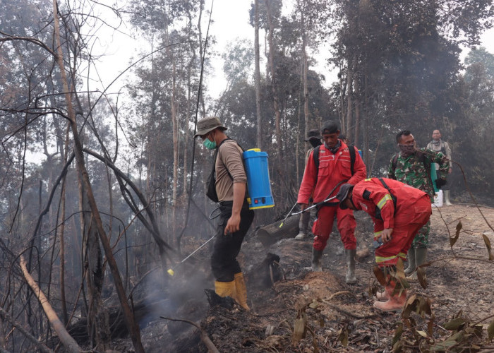 Karhutla Makin Marak, BMKG Deteksi 1.979 Titik Panas di Sumatera dan Riau Terkepung Asap