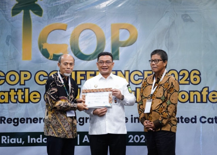 Geger! Dunia Soroti Riau Jadi Tuan Rumah ICOP 2026, Rahasia Integrasi Sapi-Sawit Bakal Guncang Ekonomi Global