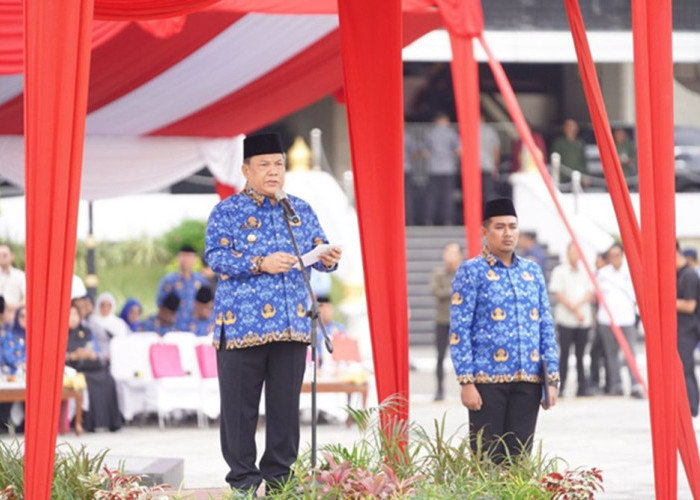 HKN ke-61: Pemprov Riau Genjot Transformasi Kesehatan Demi Wujudkan Indonesia Emas 2045