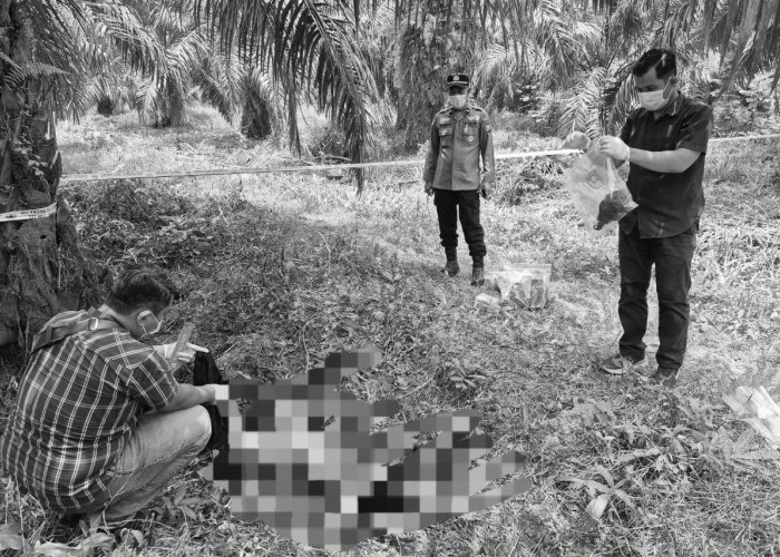 5 Hari Hilang, Eka Sudarni Ditemukan Tak Bernyawa di Kebun Sawit Indragiri Hulu