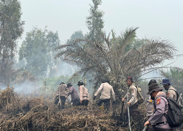 Sumatera Dikepung 1.225 Titik Panas, Asap Mulai Kaburkan Jarak Pandang di Riau