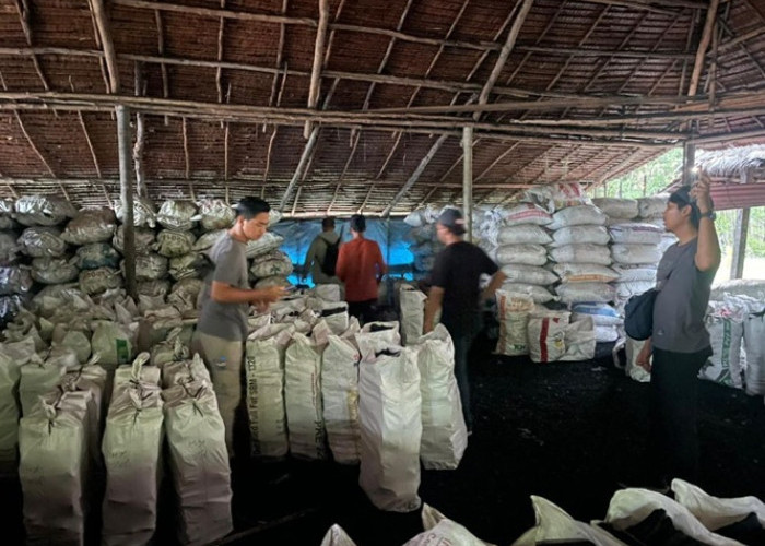 Polda Riau Bongkar Mafia Arang Mangrove di Meranti, Ribuan Karung Siap Diselundupkan ke Malaysia