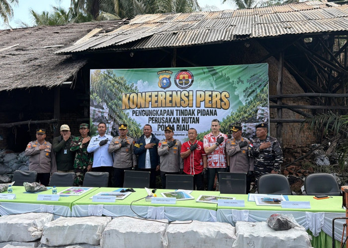 Polda Riau Bongkar Penyelundupan 140 Ton Arang Mangrove Ilegal ke Malaysia