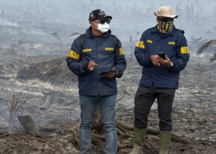 Kebakaran Hutan Riau: Polda Tetapkan 2 Tersangka Perambah Sawit Ilegal 