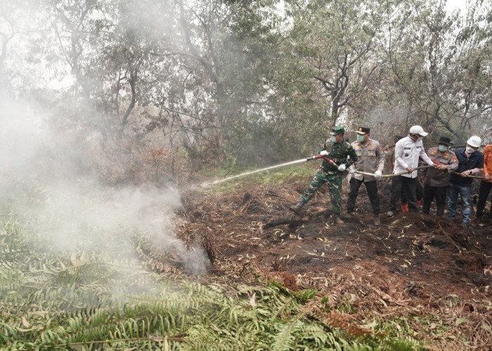 Terdeteksi 491 Hotspot di Riau, Kualitas Udara Pekanbaru Sangat Tidak Sehat