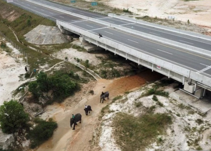 Tol Riau Tembus 187 Km! Infrastruktur Kian Mantap, Ekonomi Siap Melaju