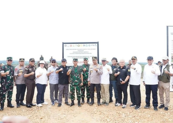 PLN Siap Putus Aliran Listrik Ilegal di Taman Nasional Tesso Nilo