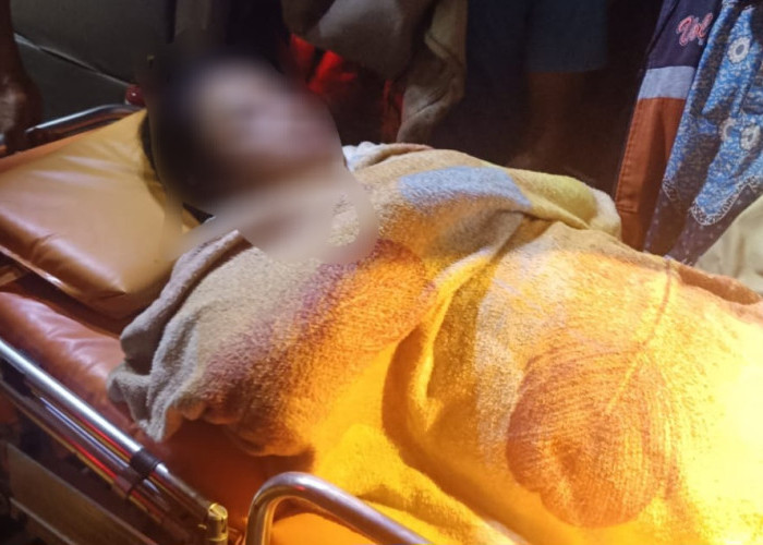 Tragedi di Tepian Sungai Metas, Warga Siak Tewas Diterkam Buaya