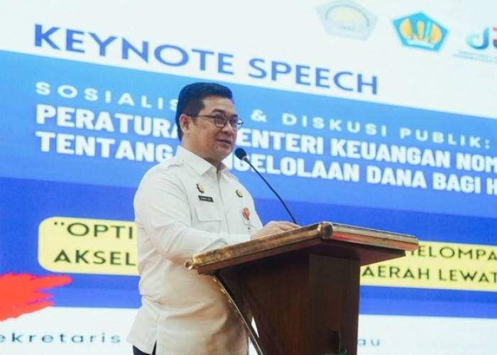 DBH Sawit Riau Terjun Bebas, Daerah Penghasil Terbesar Malah Kebagian Kecil?