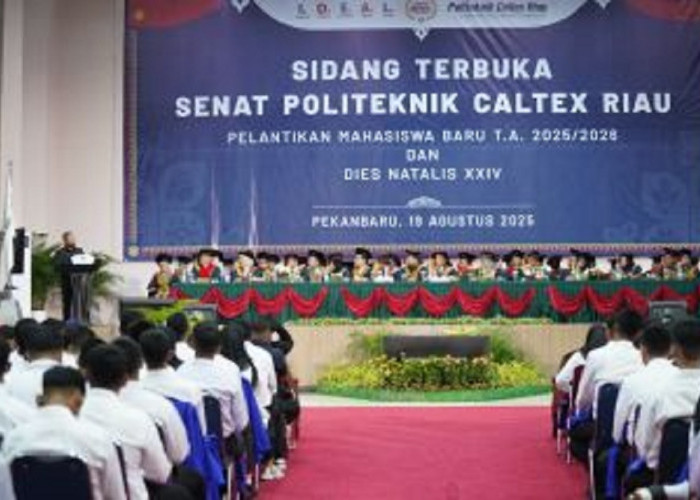 Riau Jadi Pintu Gerbang Investasi Global, Gubernur Abdul Wahid Ajak Investor Hilirisasi SDA