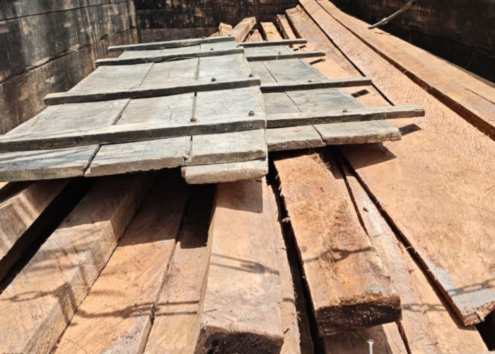 Malam Kelam Pembalak Liar, Polres Bengkalis Gagalkan Penyelundupan Kayu di Siak Kecil