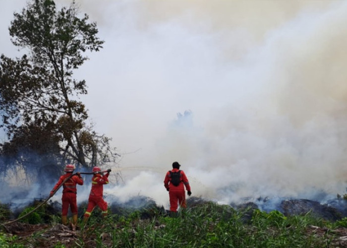 Pahlawan Karhutla Riau Gugur Saat Tugas, Plt Gubernur SF Hariyanto Berduka Sedalam-dalamnya
