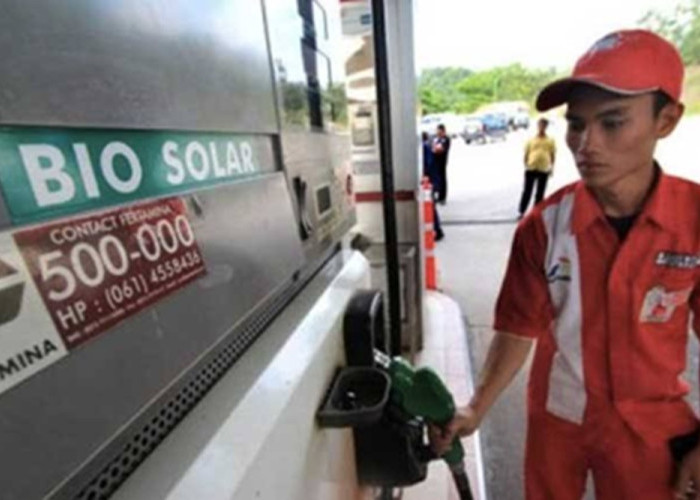 Riau Ajukan Tambahan Kuota Bio Solar 89.256 KL untuk Redam Antrean SPBU