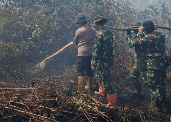 HUTAN RIAU MEMBARA! Satelit NASA Deteksi Titik Api, Tim Gabungan Siaga Kepung Karhutla di Rupat