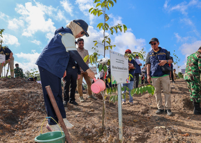 IKN Gebrak Konsep Kota Hutan, 5 Juta Pohon Ditanam dan Habitat Satwa Dipulihkan