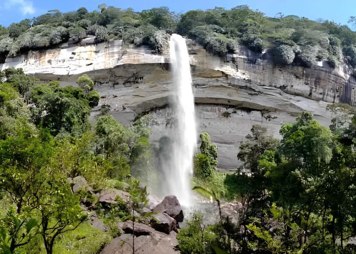 Tempat Wisata di Riau yang Wajib Dikunjungi, dari Alam hingga Budaya