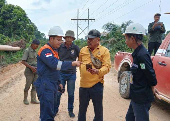Viral Video Harimau Sumatera di Siak! BBKSDA Riau Beri Peringatan Keras, Ternyata Ini Lokasi Aslinya