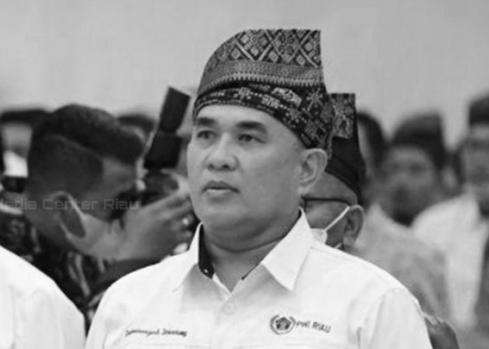 Dunia Pers Berduka! Sekjen PWI Pusat Zulmansyah Sekedang Tutup Usia, Ini Kronologi Lengkapnya