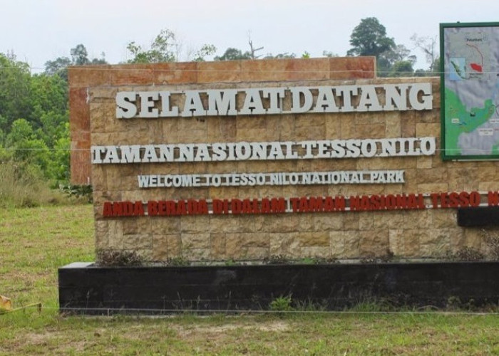 DPRD Riau Desak Korporasi Perusak Hutan Tesso Nilo Ditindak: Mereka Tahu Tapi Tetap Langgar
