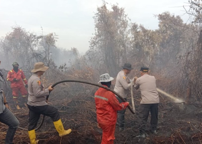 AWAS! Kualitas Udara Pekanbaru 'Tipu-tipu', Asap Tipis Bikin Sesak Napas, PM2.5 Sempat Tembus 135!