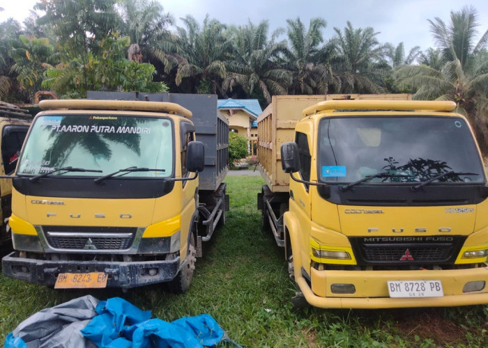 Ninja Sawit Dibekuk di Bengkalis, Aksi Curi 1 Ton Buah Kelapa Sawit Digagalkan Polisi