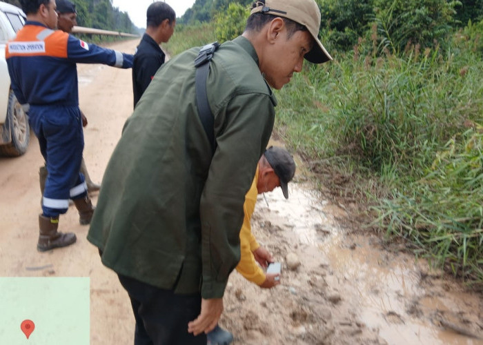 Heboh Harimau Sumatera Menampakan Diri, Balai Konservasi Minta Warga Tak Panik