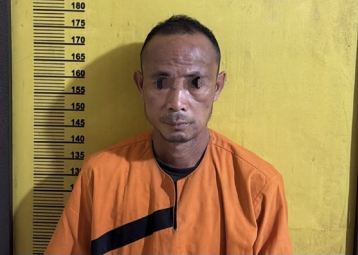 Ayah Tiri di Inhu Diduga Cabuli Tiga Anak di Bawah Umur, Korban Akhirnya Bersuara