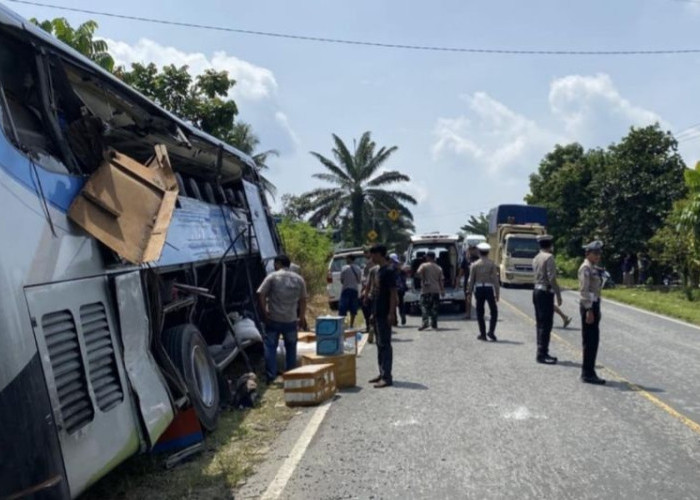 Tragedi Maut di Pelalawan: 4 Orang Tewas Akibat Manuver Nekat Bus Maut, Jalan Lintas Timur Jadi Saksi Bisu!