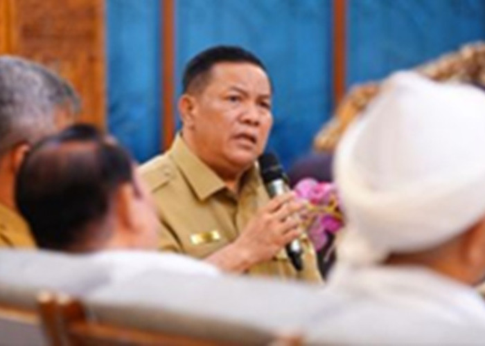 Plt Gubernur Riau Jadi Korban Peretasan WhatsApp, Waspada Modus Penipuan Undangan Pernikahan APK